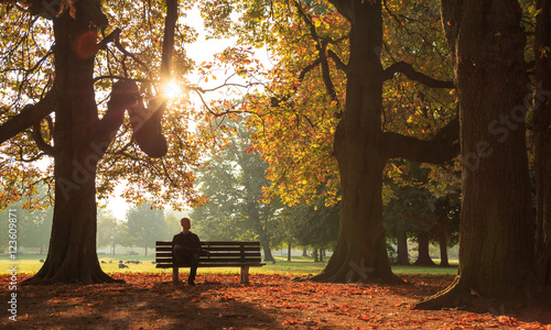 Fotografie Man sitting on a bench in a park on a sunny autumn morning.