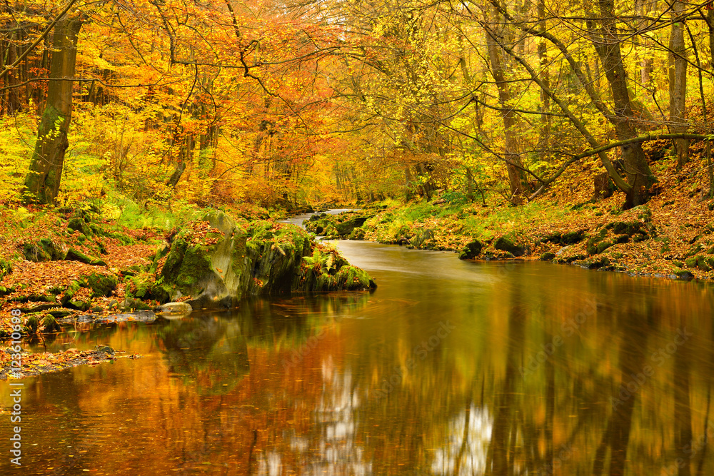 Fototapeta premium Farbenprächtiger Herbstwald spiegelt sich im Wasser eines kleinen Flusses