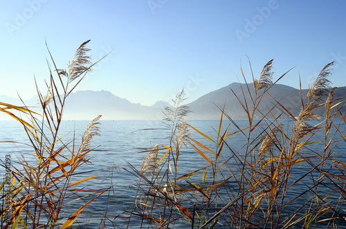 Fototapeta Naklejka Na Ścianę i Meble -  Annecy lake in France
