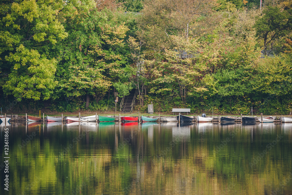 Boats on a row in a lake surrounded by green trees