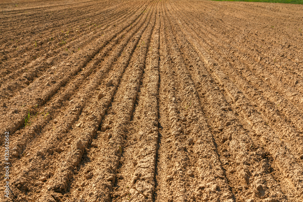 The plowed field. Furrow go to the horizon. The sowing of winter crops. Agricultural work. Sandy soil. Loam. Poor soils. The plowed field. Furrow go to the horizon. The sowing of winter crops. Agricultural work. Sandy soil. Loam. Poor soils.