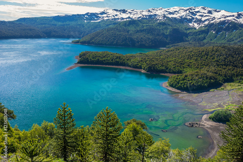 Conguillio lake, Chile photo