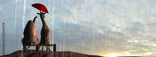 Photography Elephant and Giraffe  on a mountain top sit on a bench in the rain