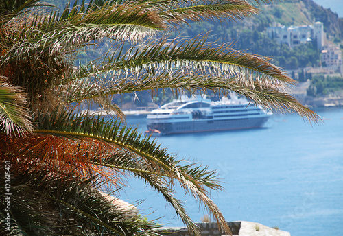 A palm tree in Dubrovnik (Croatia), a cruise ship in the backgro
