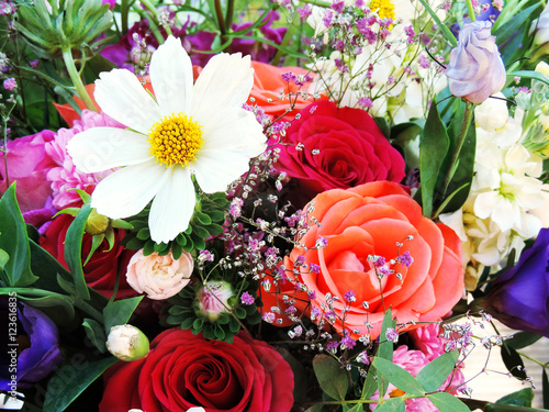 Multicolored spring flowers, close-up. Bunch of colorful flowers or flower bouquet with various flowers.