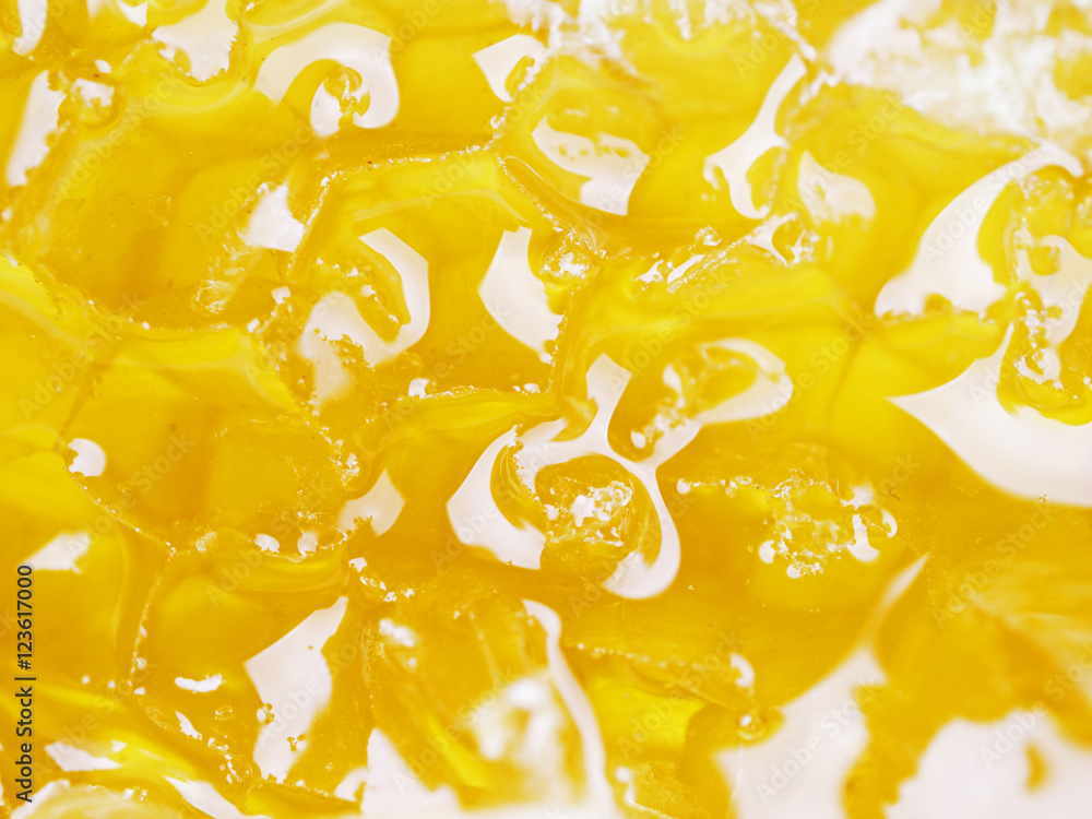 honey closeup honey closeup