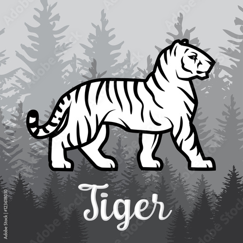 Double exposure White Tiger in forest poster design. vector illustration on foggy background.