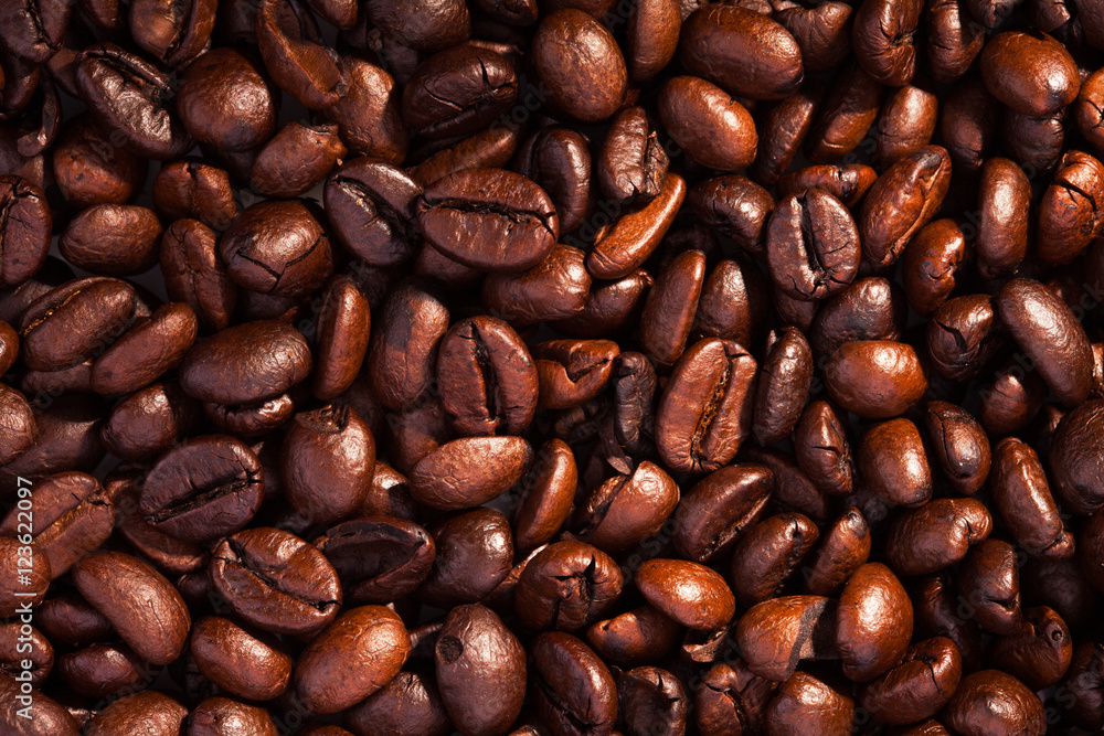 Close-up of coffee beans for background and texture - the beautiful food background Close-up of coffee beans for background and texture - the beautiful food background