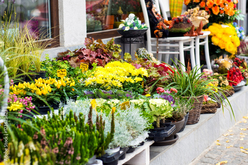 Flower Shop