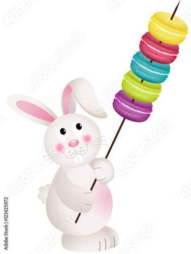Cute bunny carries macaroons

