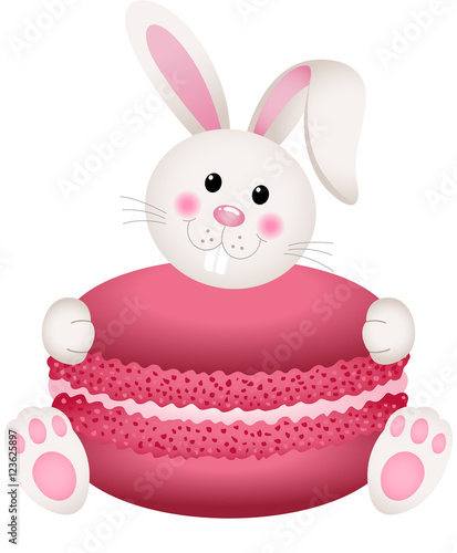 Cute bunny holding macaroon

