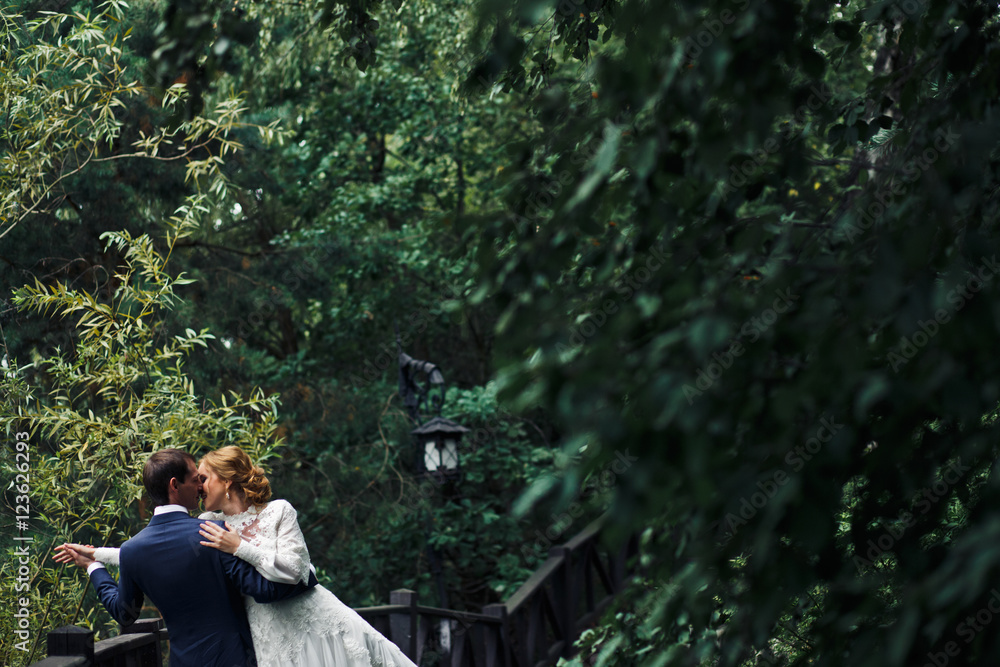 Stunning wedding couple kisses under high dark green trees Stunning wedding couple kisses under high dark green trees