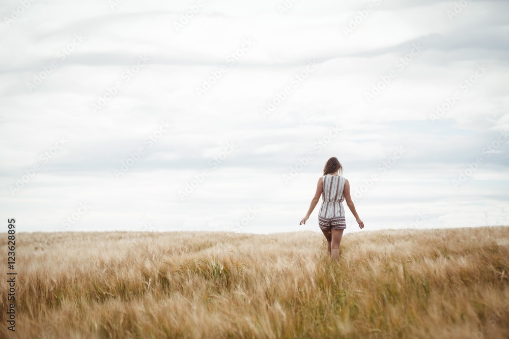 Rear view of woman walking in wheat field Rear view of woman walking in wheat field