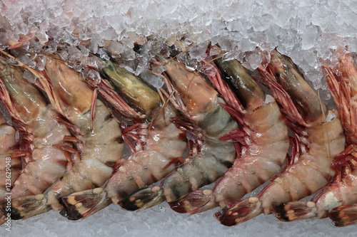 shrimp