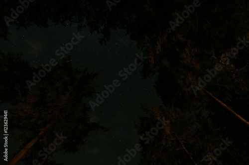 long exposure stars trees lake and sky 