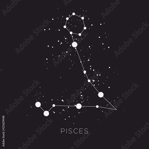 Star constellation zodiac vector