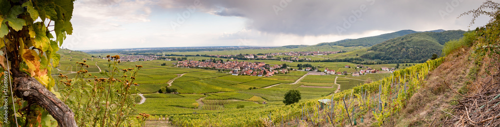 Kientzheim, Ammerschwihr, Sigolsheim au pied des vignes à l'entrée de la vallée de Kaysersberg en Alsace