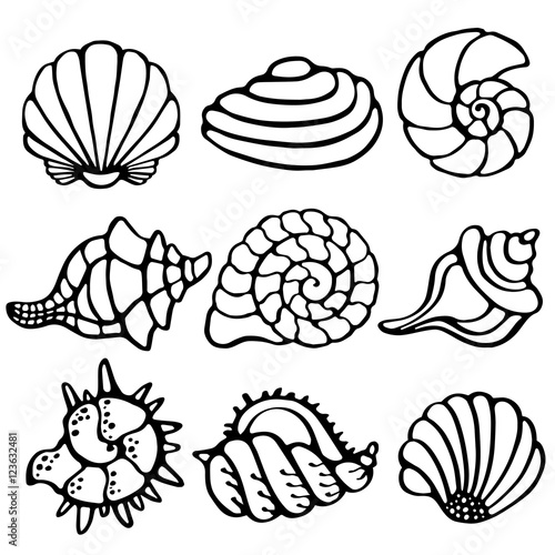 Sea shells icon, logo