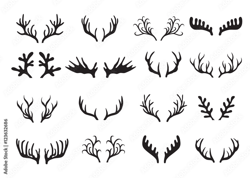 Deer antlers set isolated on white background. Deer antlers set isolated on white background.