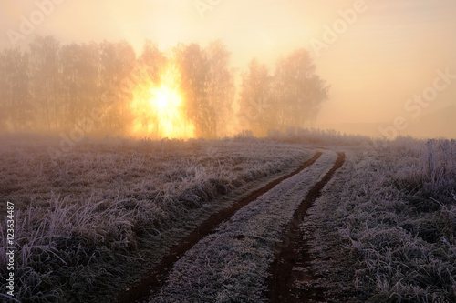Foggy winter sunrise