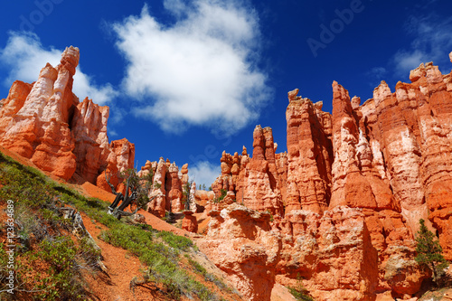 Sceniczny widok oszałamiająco czerwonego piaskowca hoodoos w Bryka jaru parku narodowym