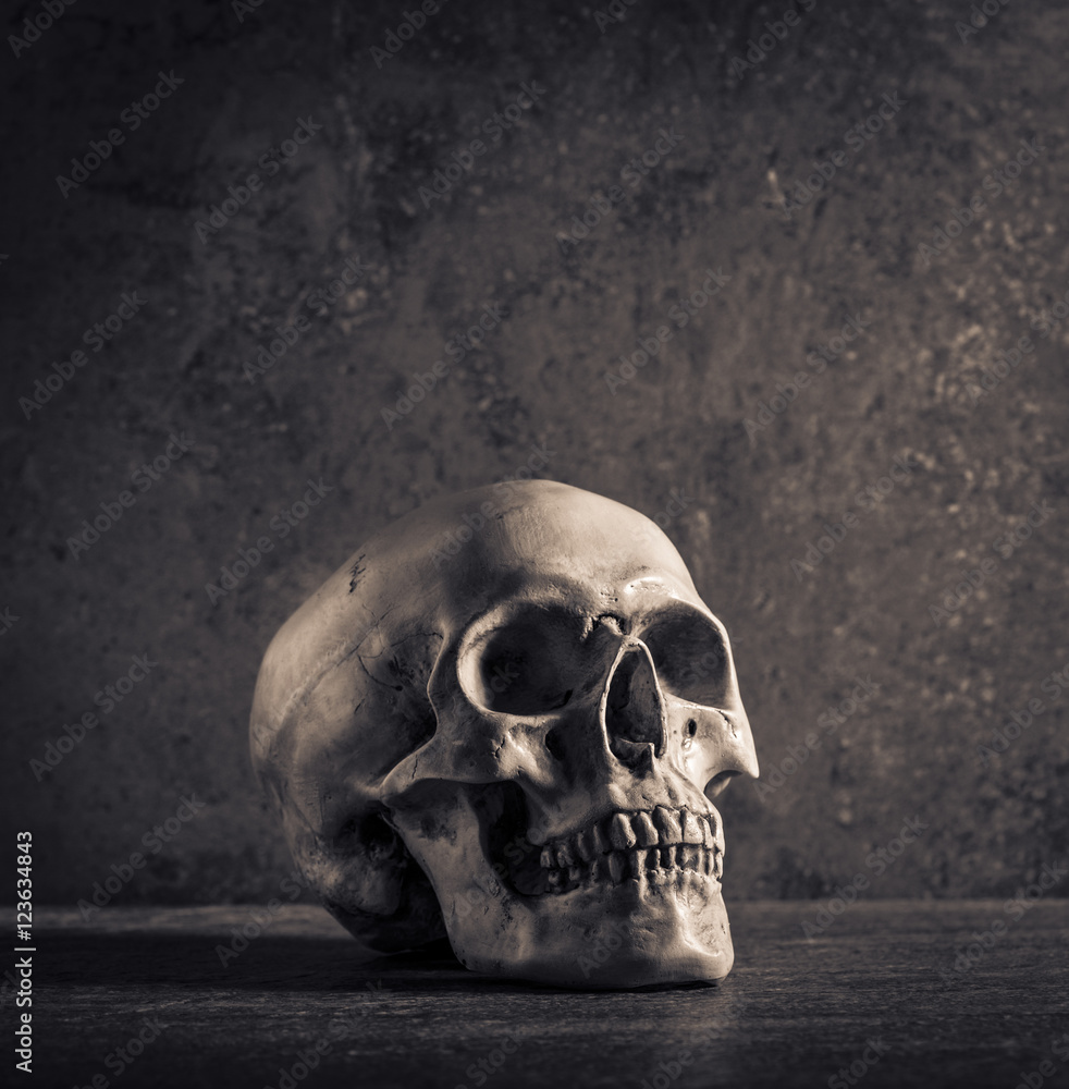 Human skull with dark background. Concept of death, horror and anatomy. Spooky halloween symbol. Human skull with dark background. Concept of death, horror and anatomy. Spooky halloween symbol.