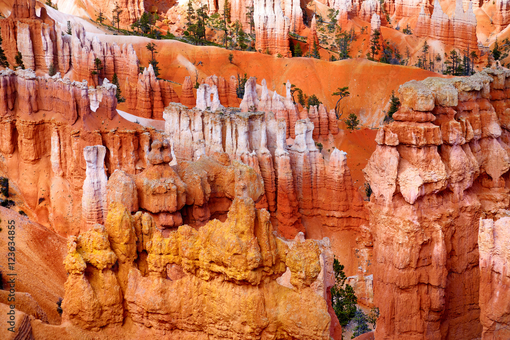 Scenic view of stunning red sandstone hoodoos in Bryce Canyon National Park Scenic view of stunning red sandstone hoodoos in Bryce Canyon National Park