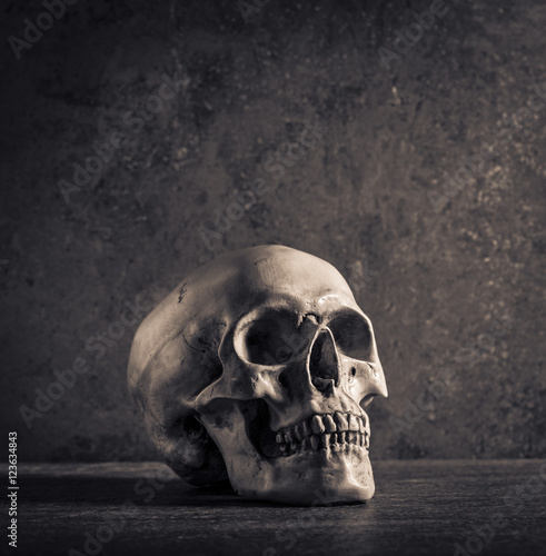 Human skull with dark background. Concept of death, horror and anatomy. Spooky halloween symbol.