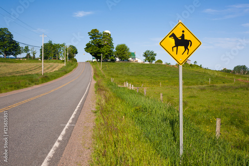 Horse crossing sign beside rural highway.