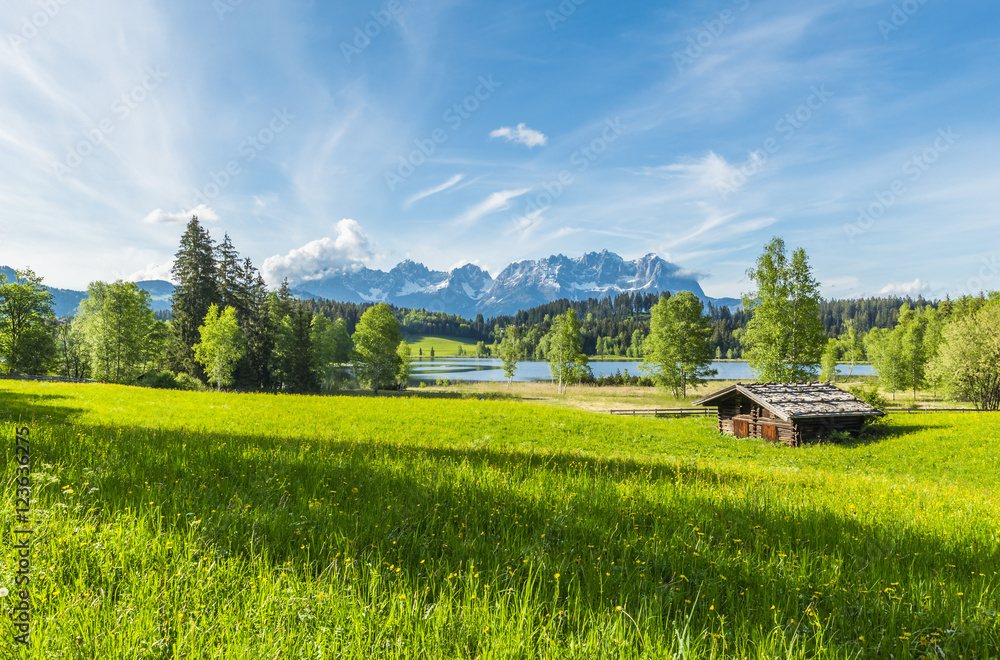 Obraz premium Panorama mit Blick auf den Wilden Kaiser