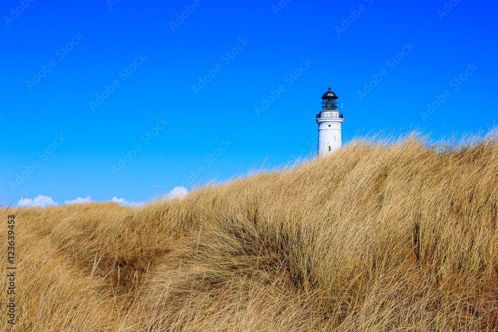 Obraz premium Leuchtturm in Hirtshals
