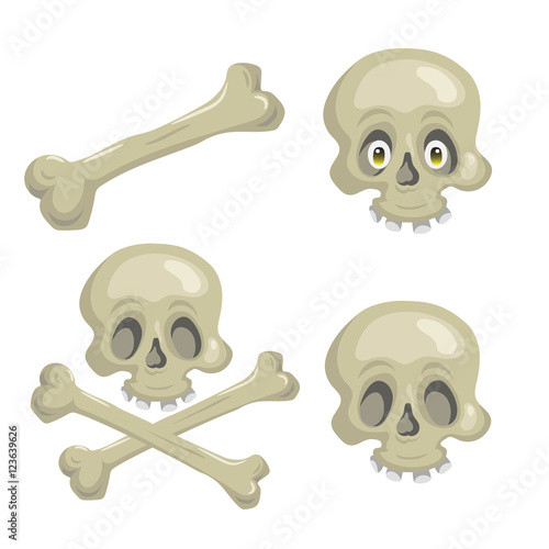 Cartoon scull set with crossbones and eyes. Trendy pirates and halloween party vector icon.