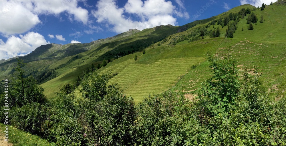 Obraz premium grüne Bergwiesen des Navistals in Tirol