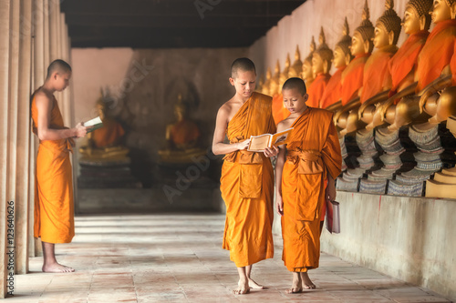 Novices at Ayutthaya Historical Park in Thailand