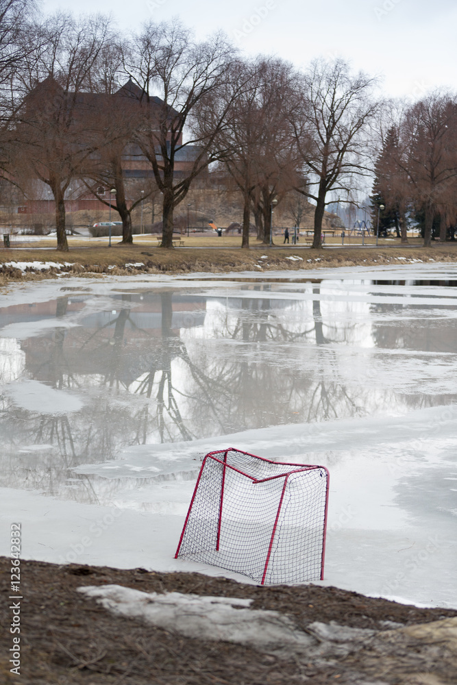 Obraz premium Natural ice ring and hockey net