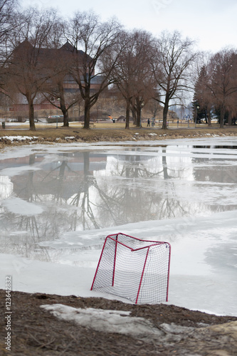 Natural ice ring and hockey net