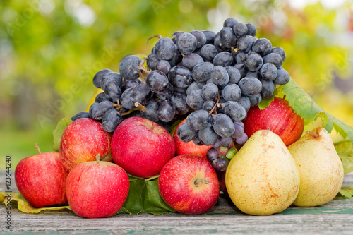 fruits outdoor