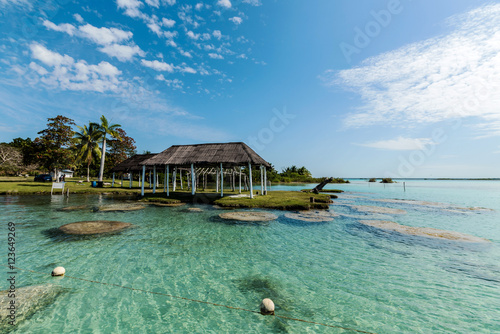corals and pavilion at laguna of bacalar photo