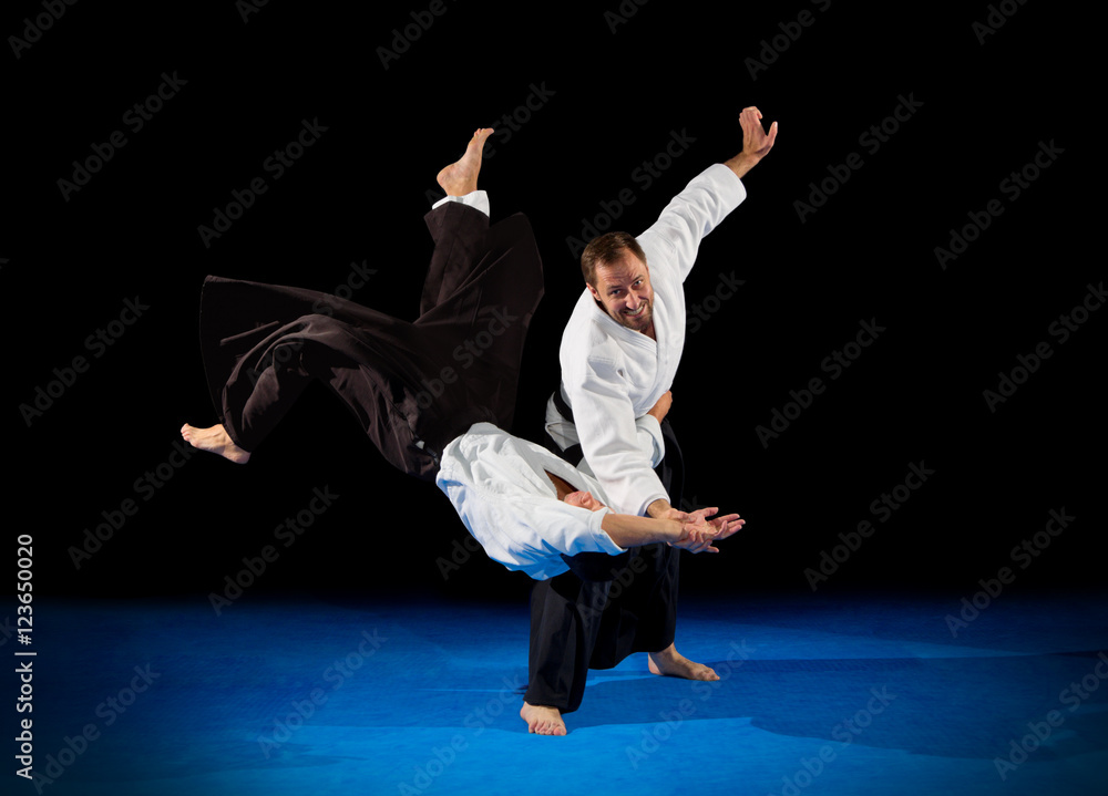 Martial arts fighters isolated