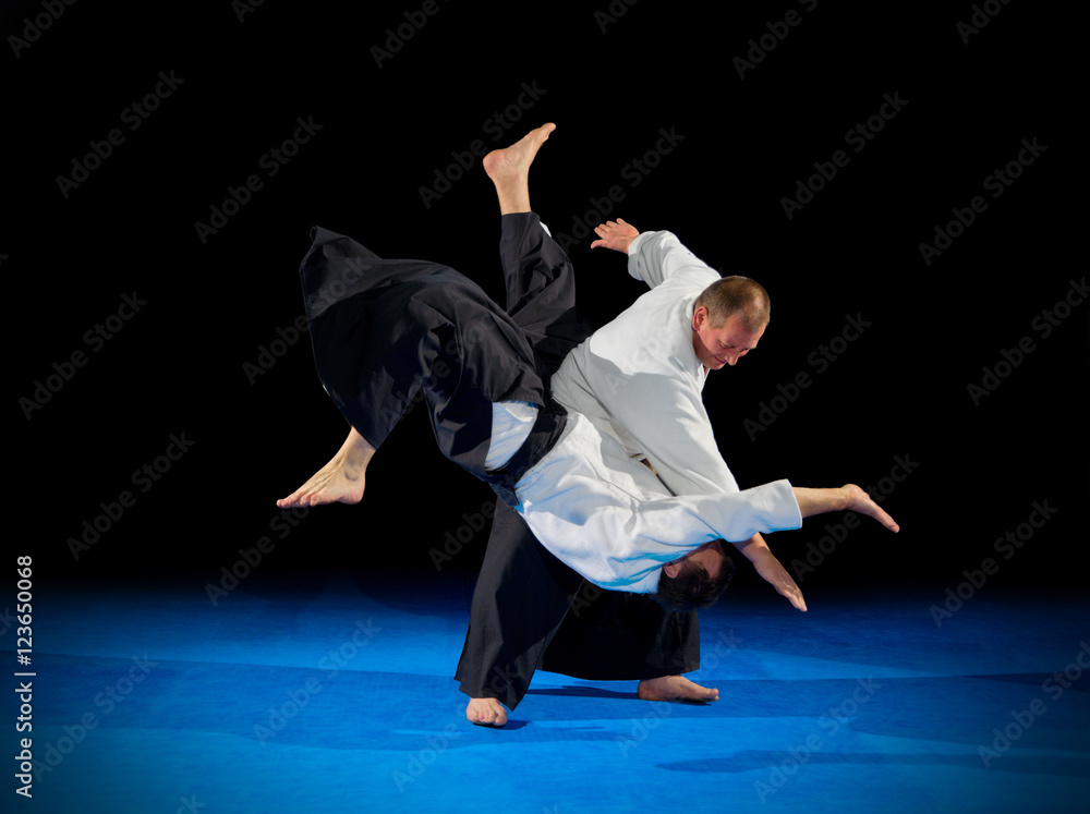 Martial arts fighters isolated Martial arts fighters isolated