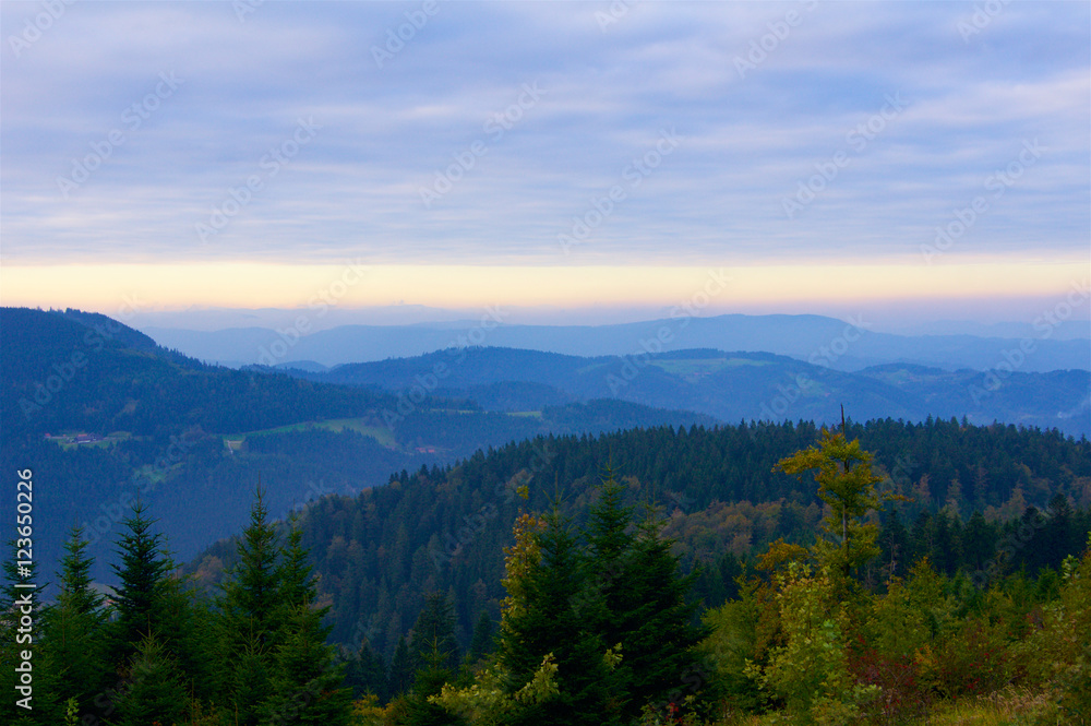 Black Forest Germany Schwarzwald