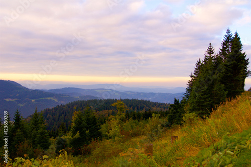 Black Forest Germany Schwarzwald