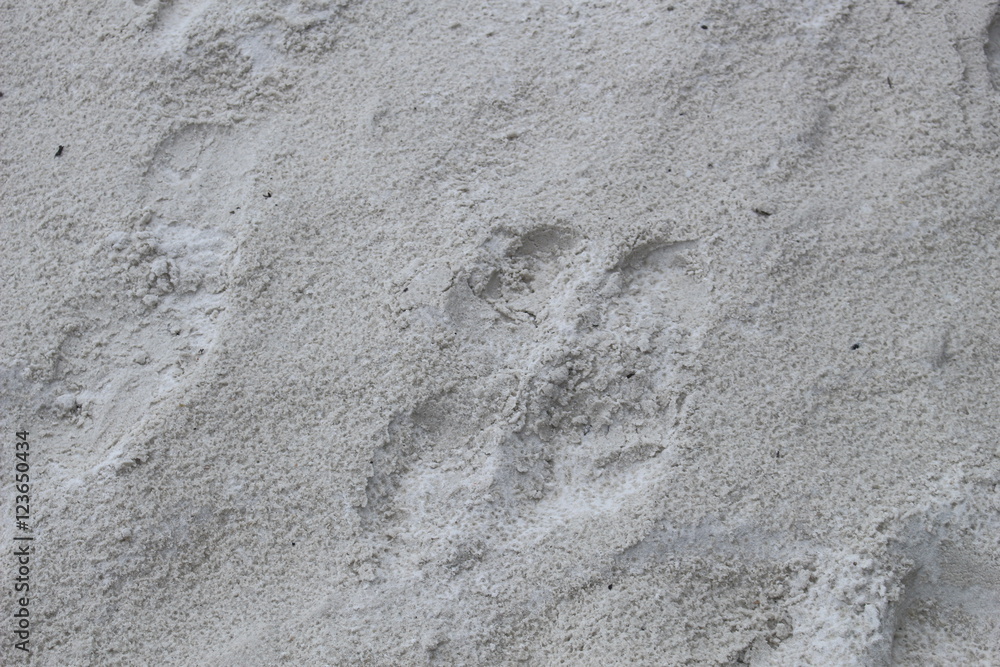 Fototapeta premium Sand Texture, Background