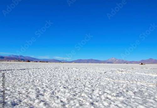 Low angle view of the Maricunga salt flats with hills in the background close to Copiapo in Chile, South America