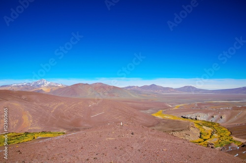 Panoramic view  over a green and yellow river between brown sandy hills on the way to Laguna Verde close to Copiapo in Chile  South America