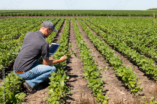 Obraz na plátne Agronomist Using a Tablet in an Agricultural Field