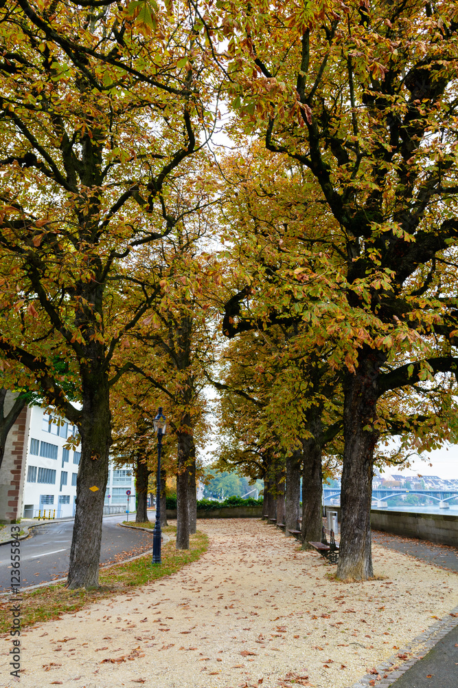 Fototapeta premium Farbe in der Natur im Herbst und Winter