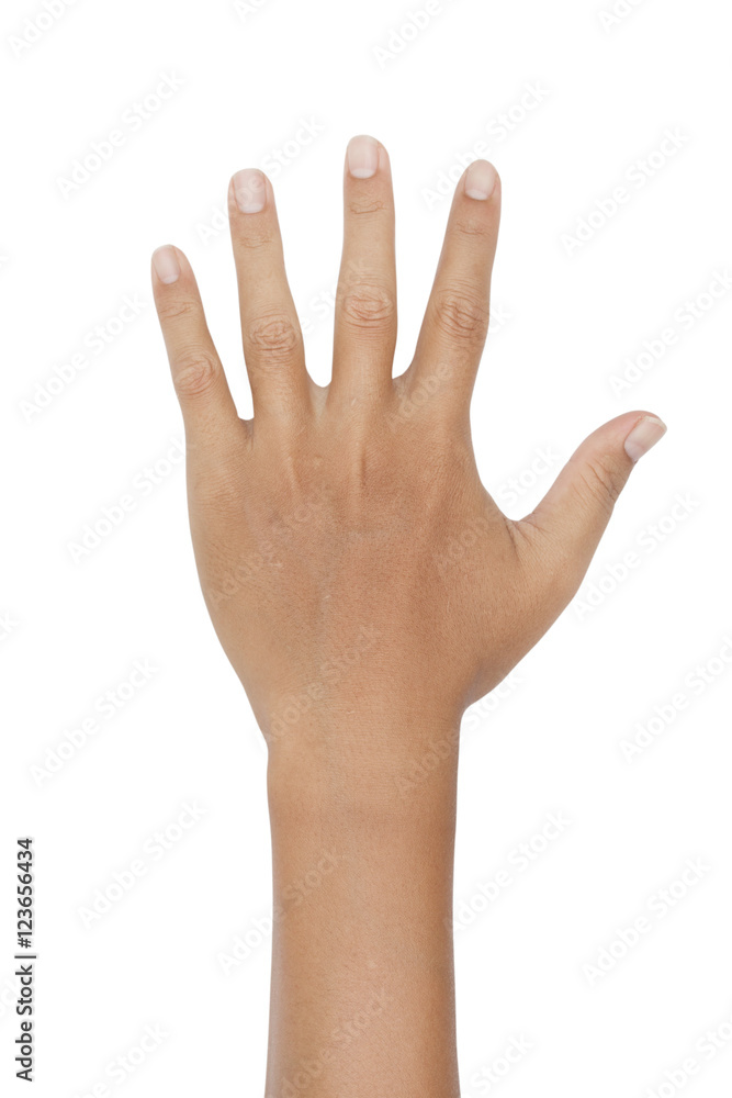 hand showing the five fingers on white background hand showing the five fingers on white background