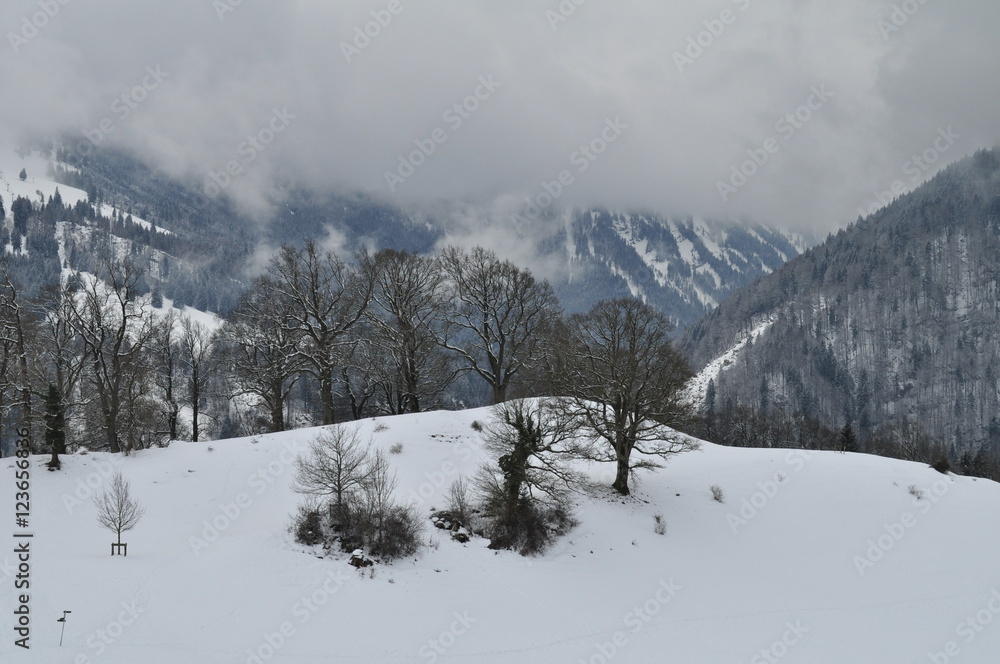 Fototapeta premium winter