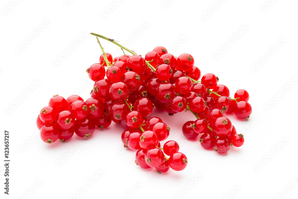 Red Currant close up isolated on white. Red Currant close up isolated on white.
